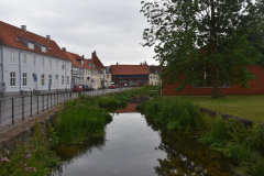 DSC_1597
