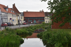 DSC_1598