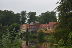 DSC_1602