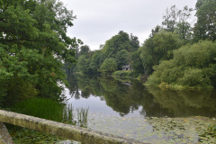 DSC_1612