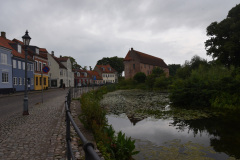 DSC_1619